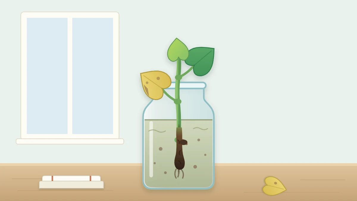 A glass jar of cloudy water holding a cutting whose submerged stem end is dark brown and soft, with one yellowing lower leaf