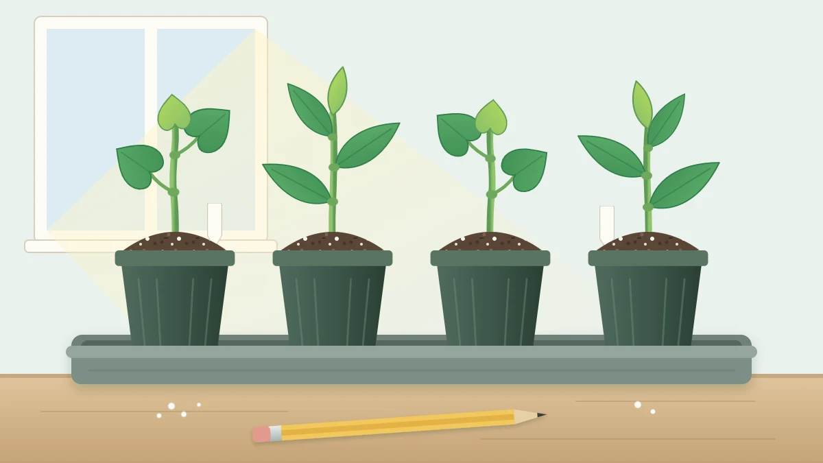 Four small nursery pots in a tray, each holding an upright leafy stem cutting in light mix speckled with perlite, a pencil beside them