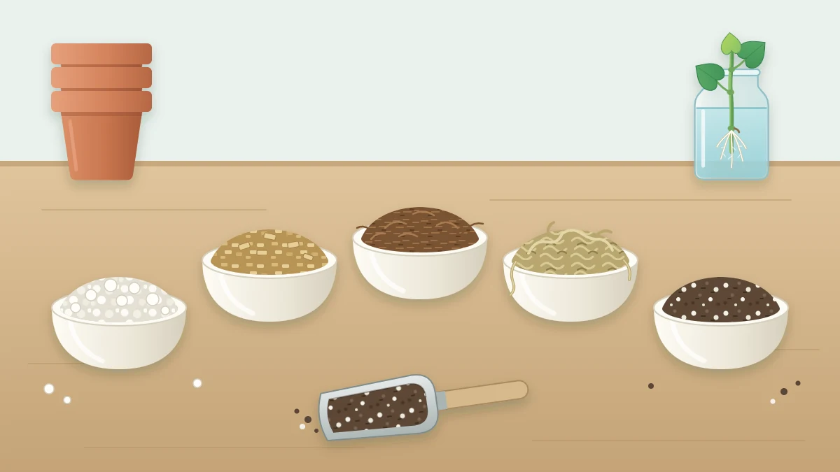 Five small bowls in an arc holding white perlite, golden-brown vermiculite, dark coir, pale stringy moss and dark potting mix, with a scoop